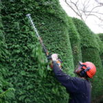 The Advantages of Getting a Free Hedge Trimming Estimate