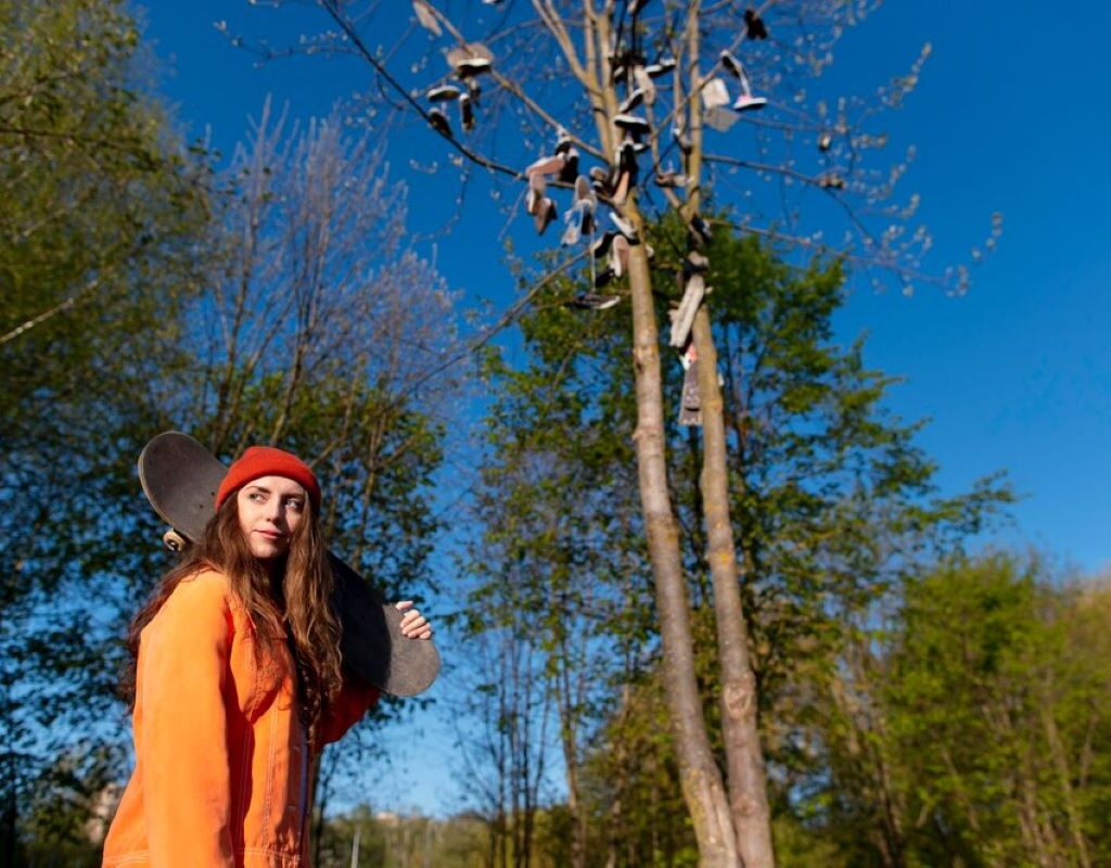 arborists in sydney
