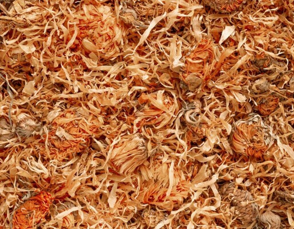 Wood Chips vs Mulch
