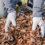 Benefits of Using Wood Chip Mulch in Your Garden Beds