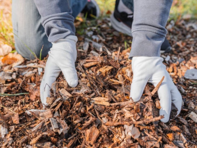 Wood Chip Mulch