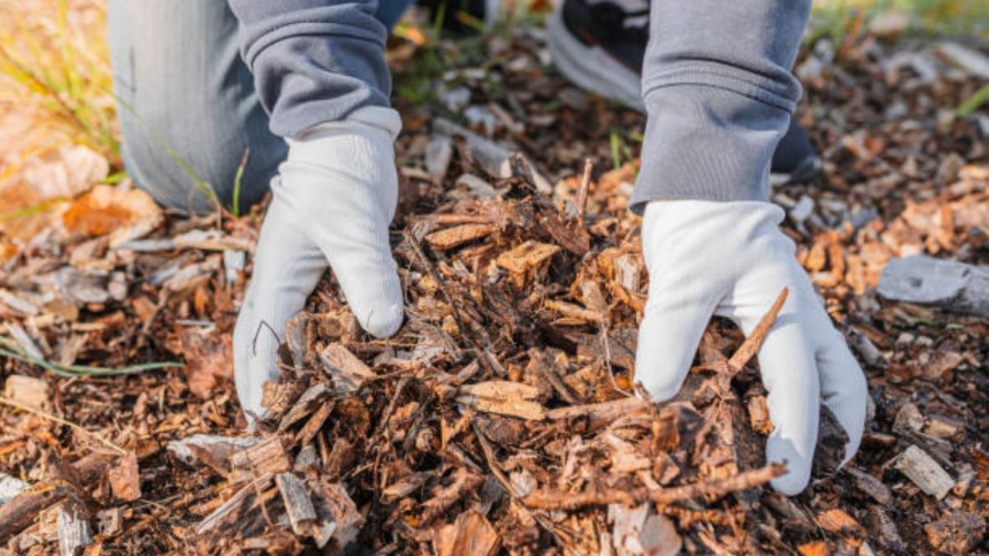Wood Chip Mulch