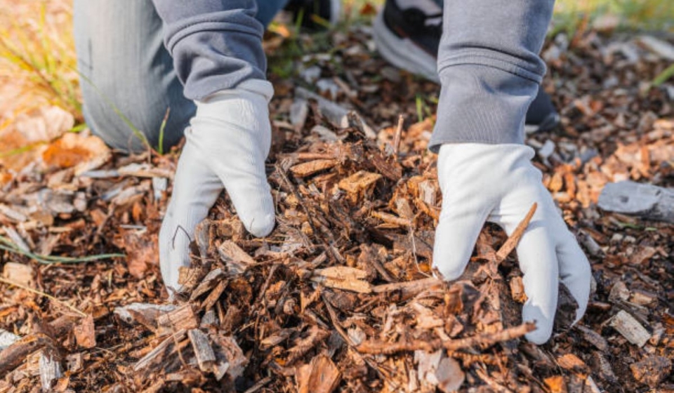 Wood Chip Mulch