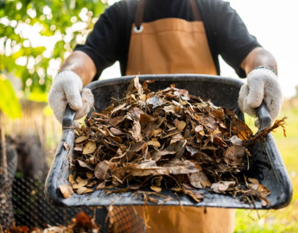 Wood Chip Mulch