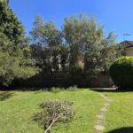 Green Waste Removal in Sydney and the Cultural Value of a “Clean” Landscape