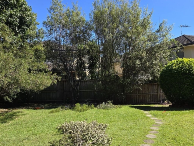 Green Waste Removal in Sydney and the Cultural Value of a “Clean” Landscape