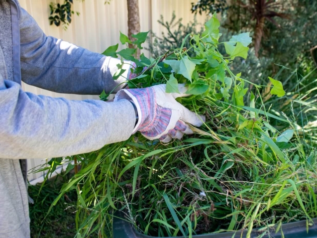 Garden Waste Removal as an Urban Sustainability Practice in Sydney