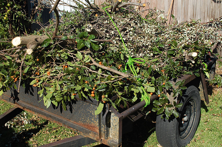 Garden Waste Removal as an Urban Sustainability Practice in Sydney