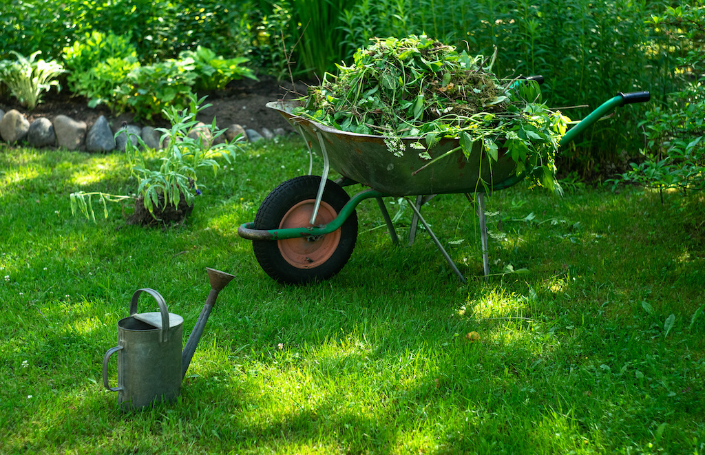 Garden Waste Removal as an Urban Sustainability Practice in Sydney