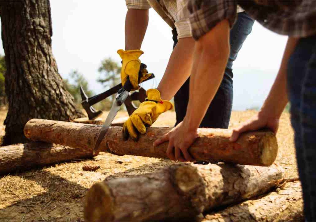 stump removal