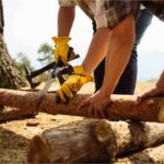 Expert Tree Arborist Services: Certified Tree Care and Maintenance Across Australia