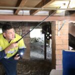 Pest Control Termite Solutions Explained: Barriers, Baits, and Beyond