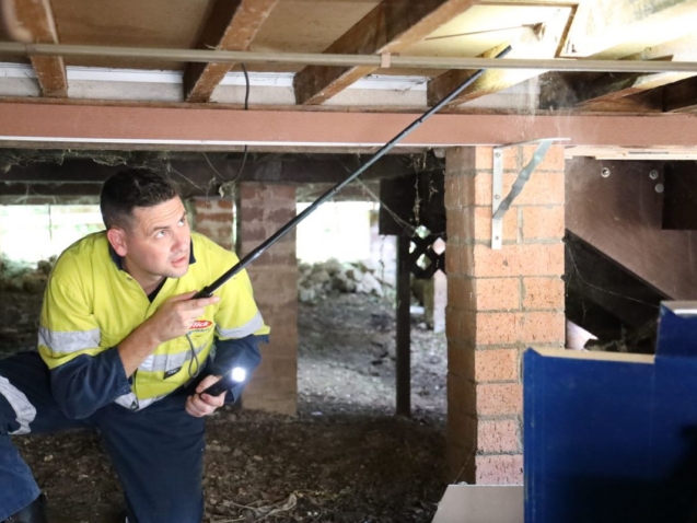 pest and termite treatment