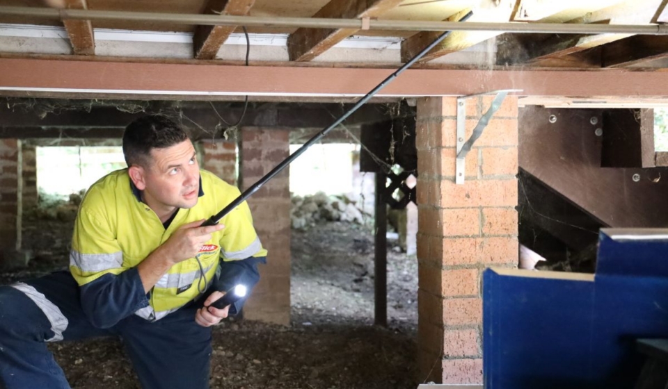 pest and termite treatment