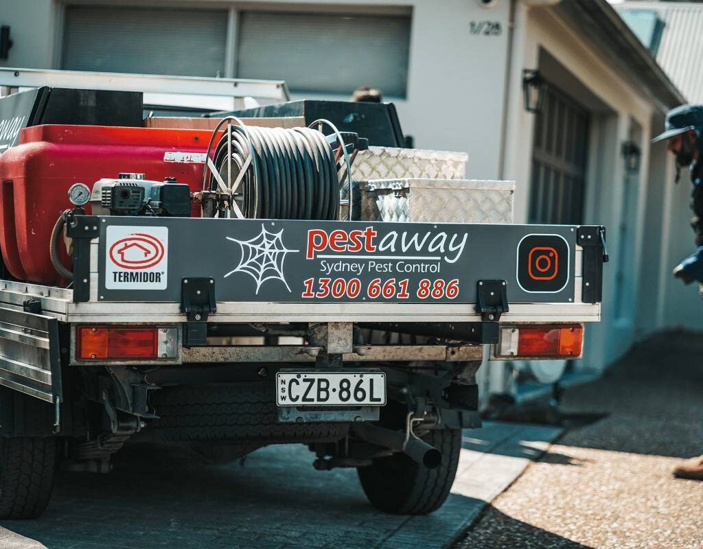 pest and termite treatment