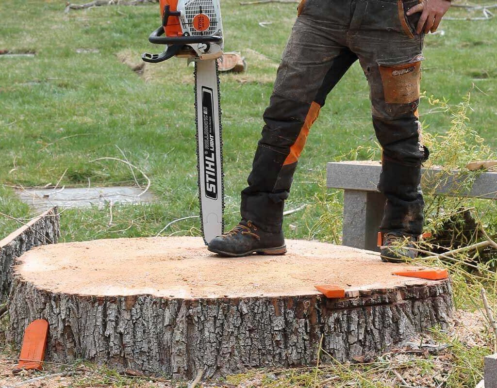 Stump Grinding Sydney: How It Works, What It Costs, and What You Get Left With


