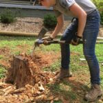 Stump Removal Cost: What You Should Actually Be Paying