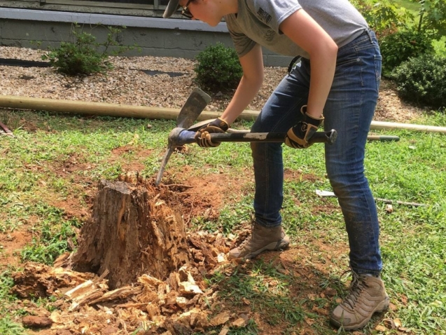 Stump Removal Cost: What You Should Actually Be Paying