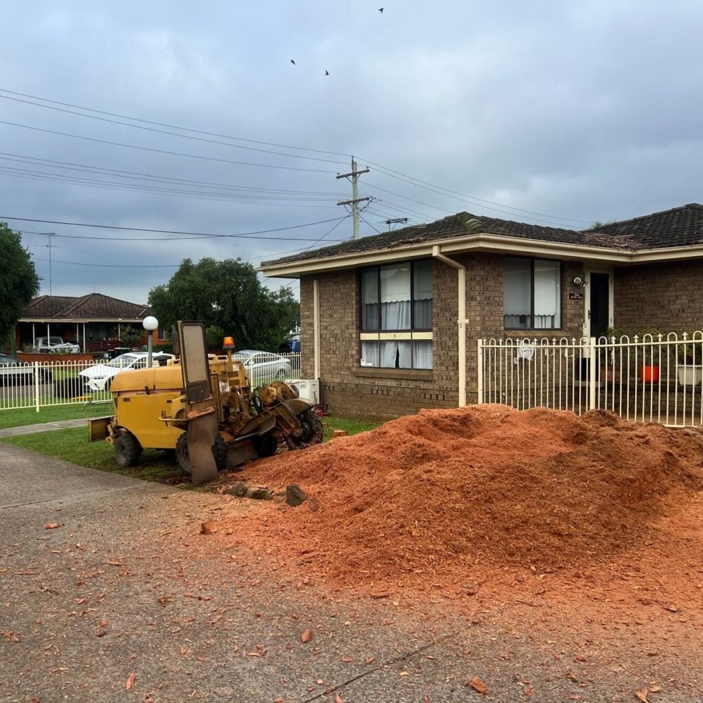 Stump Grinding Sydney: How It Works, What It Costs, and What You Get Left With

