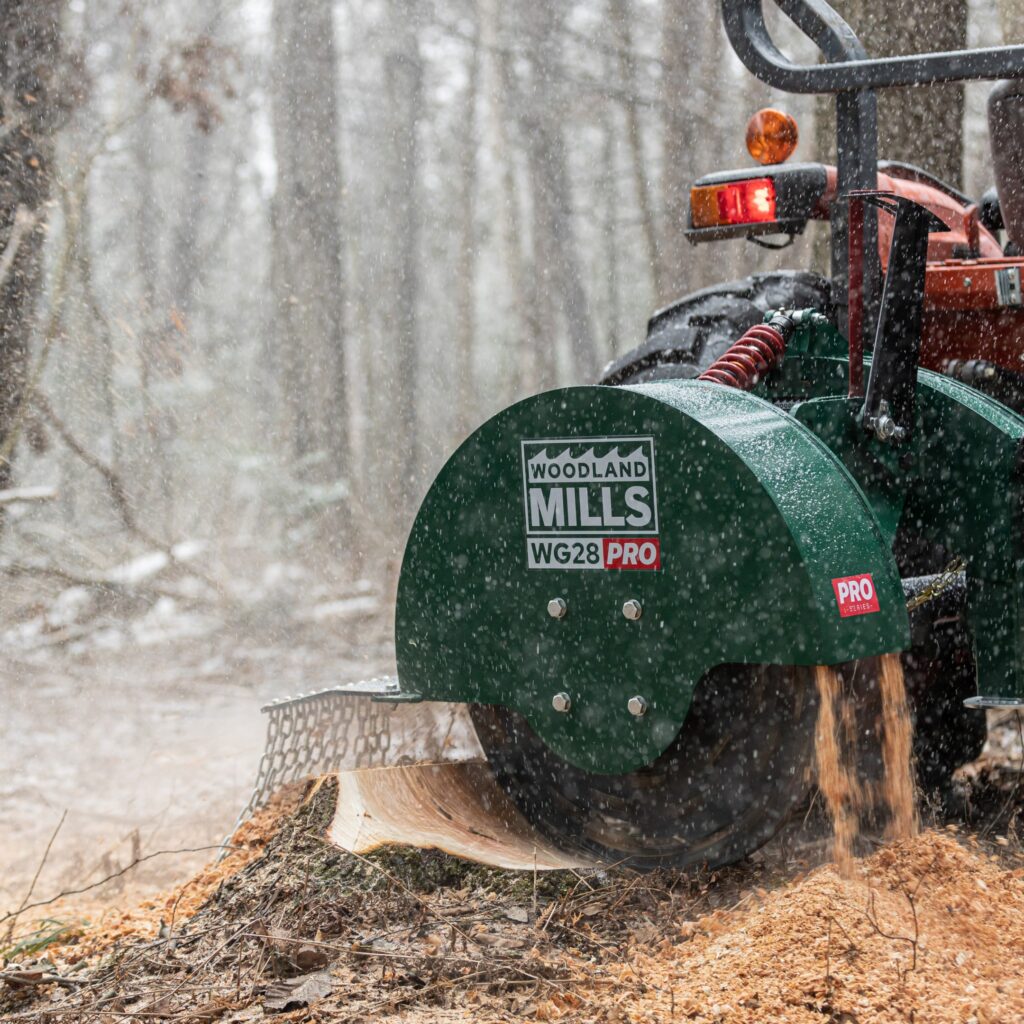 Stump Removal Cost: What You Should Actually Be Paying

