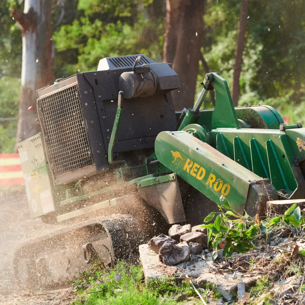Understanding Stump Removal Cost Sydney: Rates & Pricing

