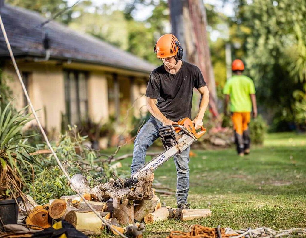 Tree Removal Cost Sydney: Budget Your Project Accurately


